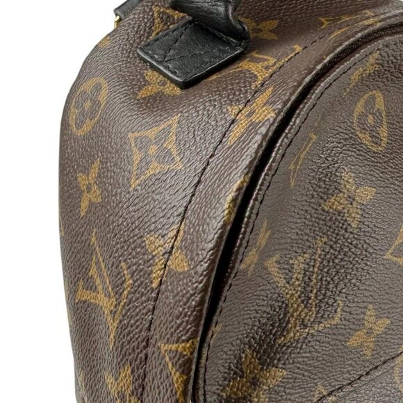Auth LOUIS VUITTON Monogram Palm Springs Mini Backpack Brown M44873 - z4187 - Picture 10 of 16